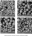 Tungsten Carbide Powder