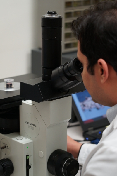 Lab tech performing visual evaluation of metallographic samples